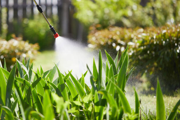 Tamper-Resistant Bait Stations for Rodents in Zellwood