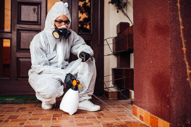 Attic and Crawl Space Rodent Treatment in Zellwood