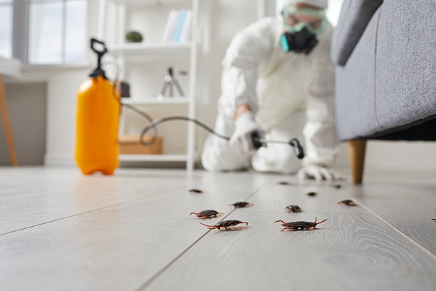 Commercial Rodent Management in Zellwood